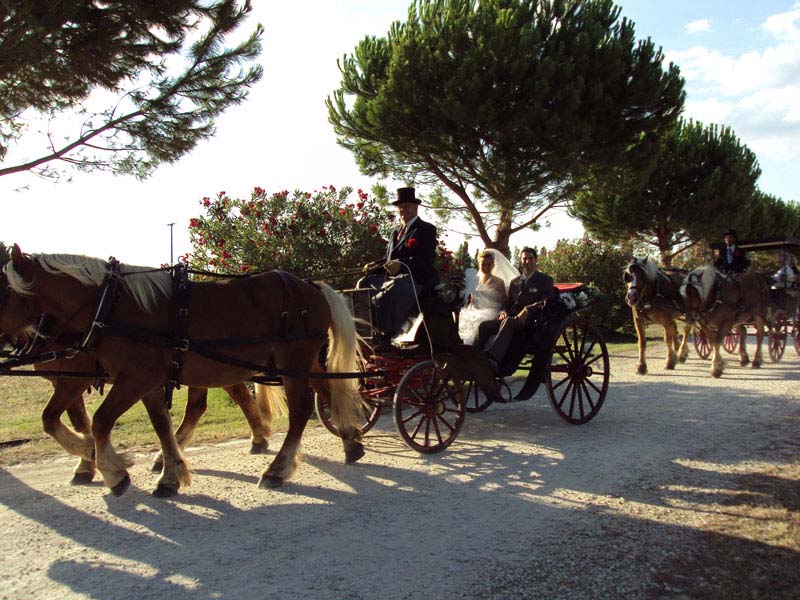 Château de Lacoste_30000 NIMES_16